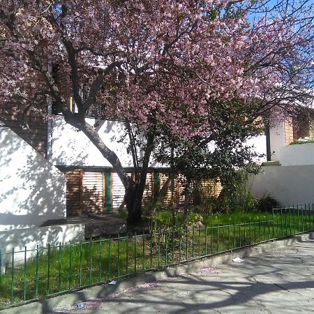 Ciruelo En Flor Bed & Breakfast Trelew Exterior photo