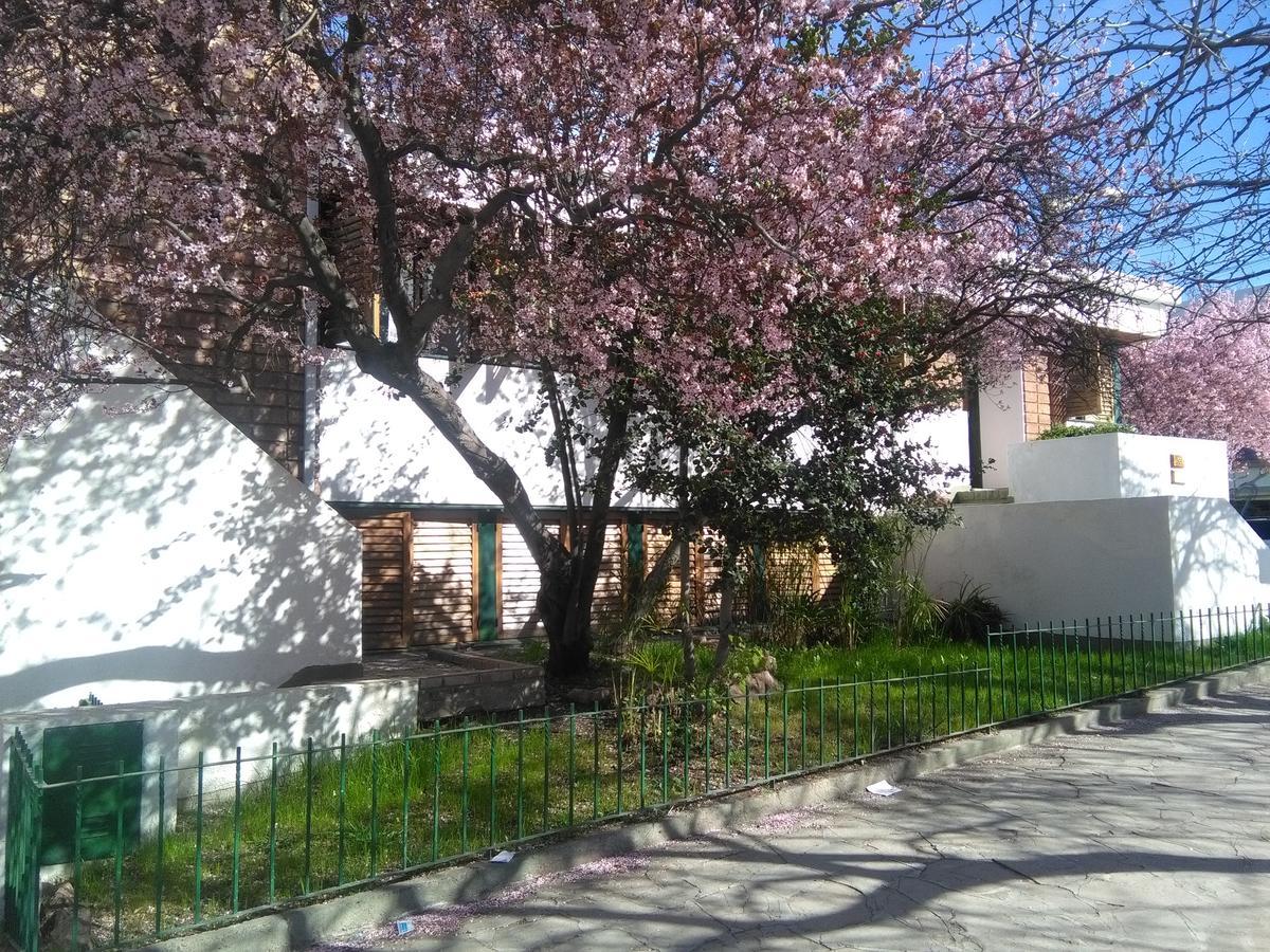 Ciruelo En Flor Bed & Breakfast Trelew Exterior photo